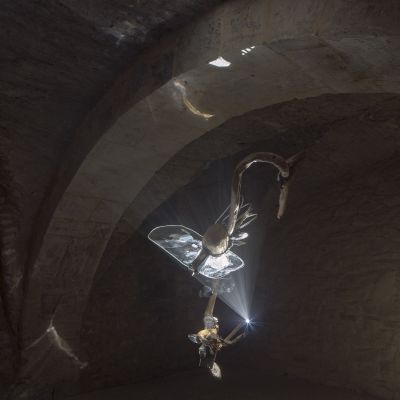 Jakub Nepraš, Natural Selection I, 2015, videosocha, GHMP.jpg