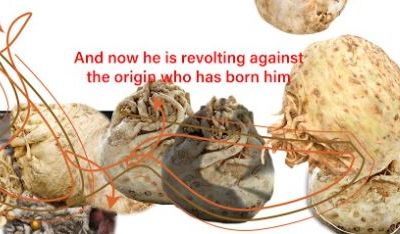 Vychovatelna - Jakub Jansa