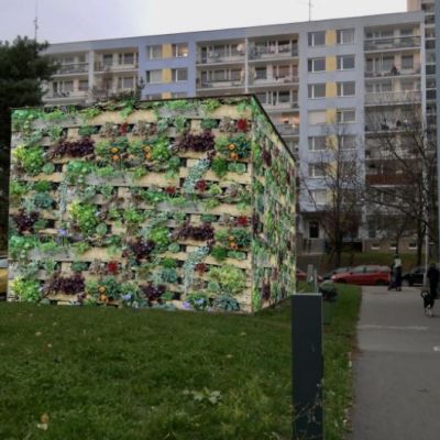 Stříbrského - Petra Hudcová