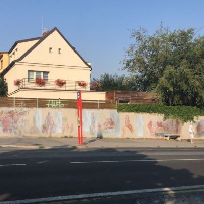 Spořilov_Eliška Šťastná Fialová.JPG