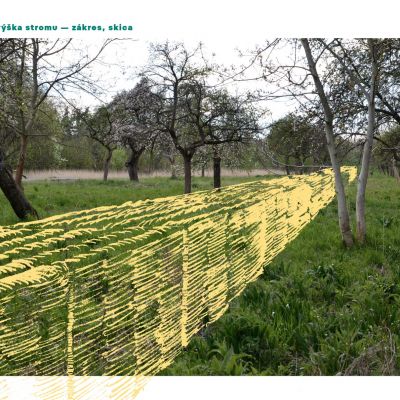 Petr Valer, Největší strom v sadu, vizualizace, Lipanský park, Lipence.jpg