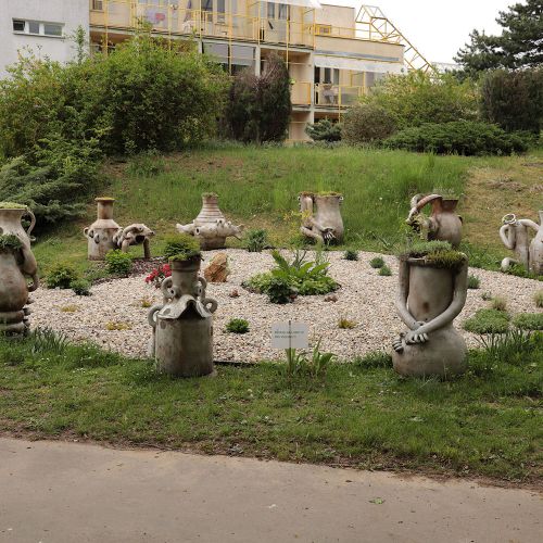 Ondřej Surový, 05/2019