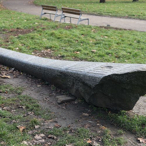 Ondřej Surový, 12/2020