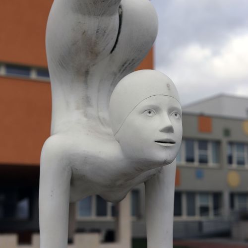 Ondřej Surový, 11/2020