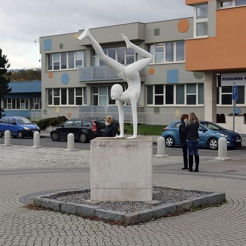 Ondřej Surový, 11/2020