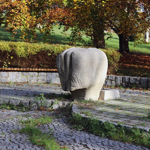 Ondřej Surový, 11/2020