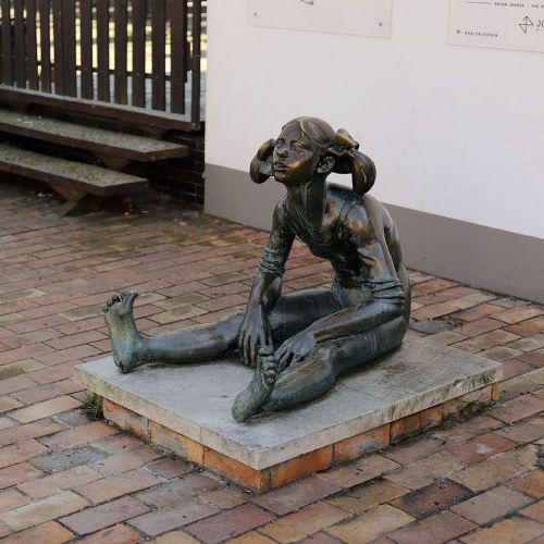 Ondřej Surový, 02/2019