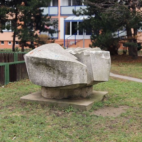 Ondřej Surový, 01/2019