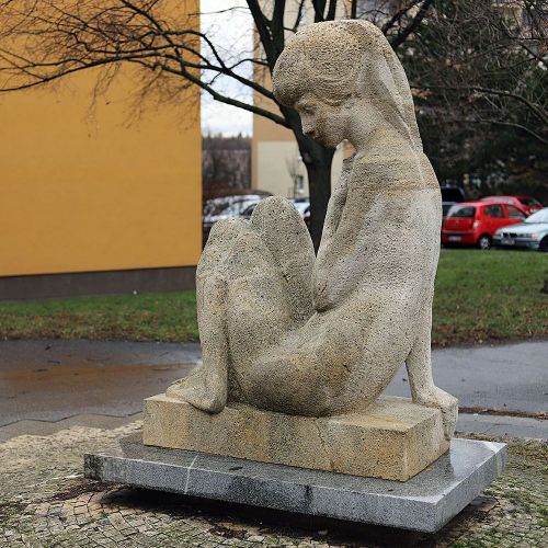 Ondřej Surový, 01/2019