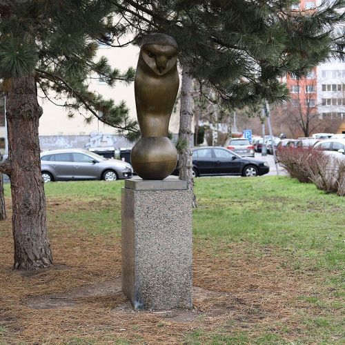 Ondřej Surový, 01/2019