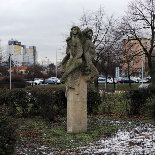 Ondřej Surový, 01/2019