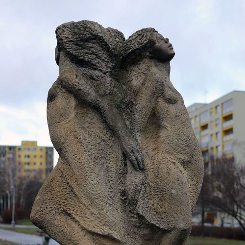 Ondřej Surový, 01/2019