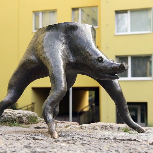 Ondřej Surový, 08/2018