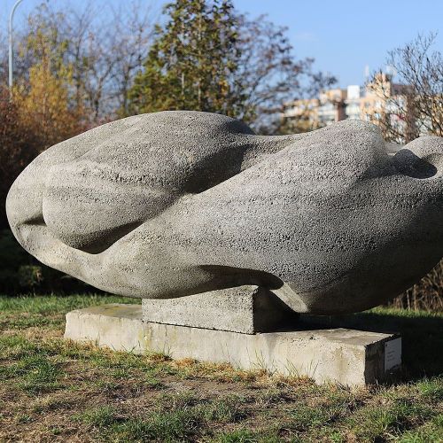 Ondřej Surový,11/2018