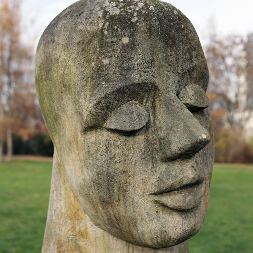 Ondřej Surový, 12/2020