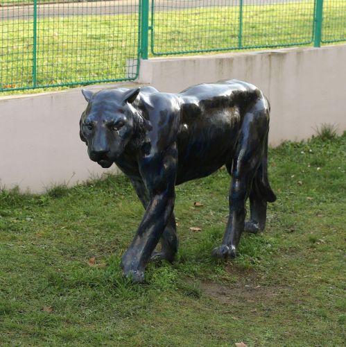 Ondřej Surový, 12/2020