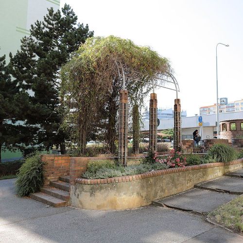 Ondřej Surový, 07/2019