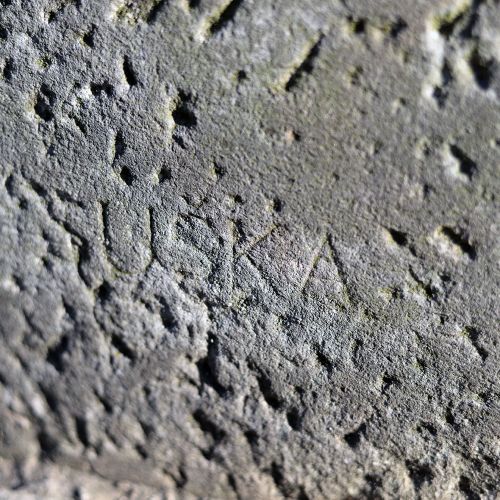 Ondřej Surový, 07/2019