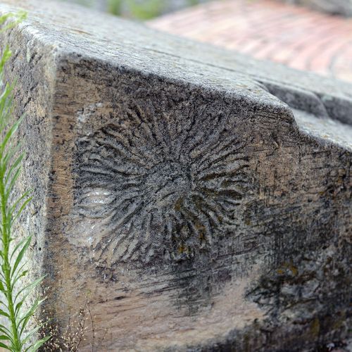 Ondřej Surový, 07/2019