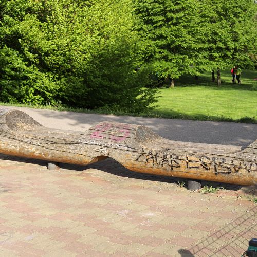 Ondřej Surový, 05/2021