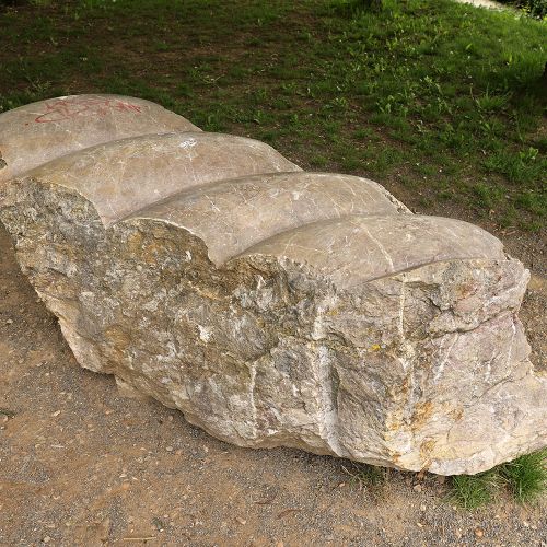 Ondřej Surový, 05/2021