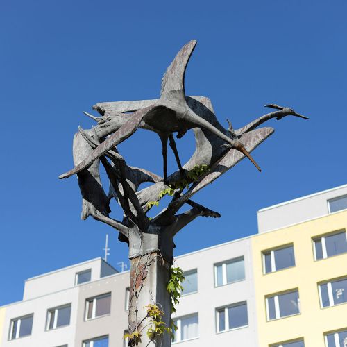 Ondřej Surový, 07/2019