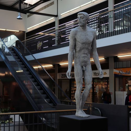 Ondřej Surový, 07/2019