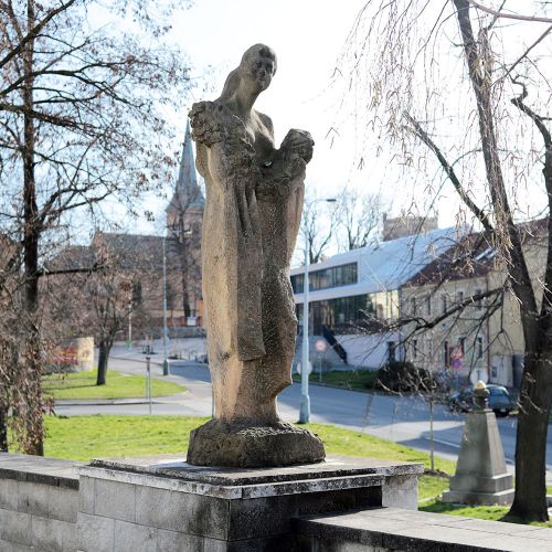 Ondřej Surový, 03/2020