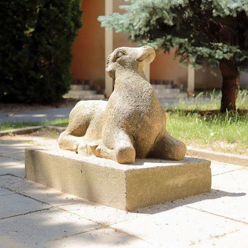 Ondřej Surový, 07/2019