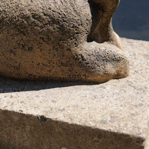 Ondřej Surový, 07/2019