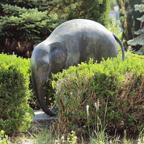 Ondřej Surový, 07/2019