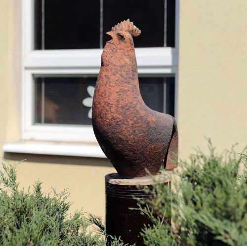 Ondřej Surový, 07/2019