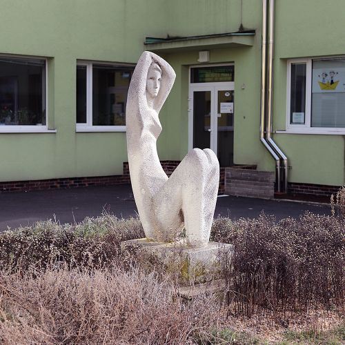 Ondřej Surový, 02/2020