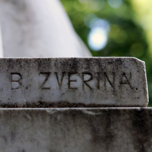 Ondřej Surový, 07/2023