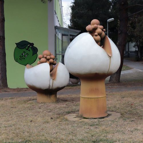 Ondřej Surový, 01/2020