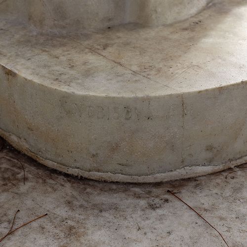 Ondřej Surový, 11/2020