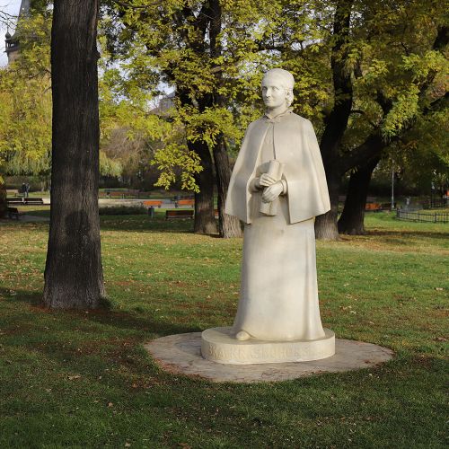 Ondřej Surový, 11/2020