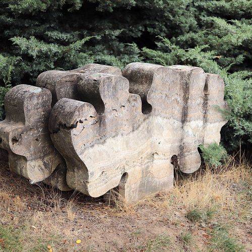 Ondřej Surový 07/2019