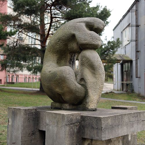 Ondřej Surový 12/2018