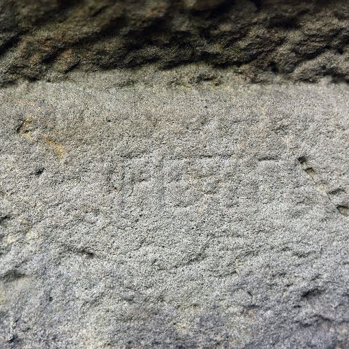 Ondřej Surový 12/2018