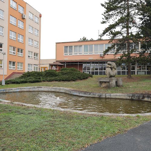 Ondřej Surový 12/2018