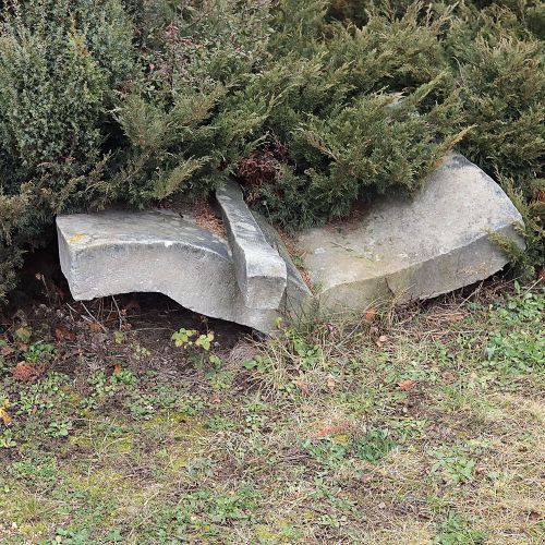 Ondřej Surový, 01/2020