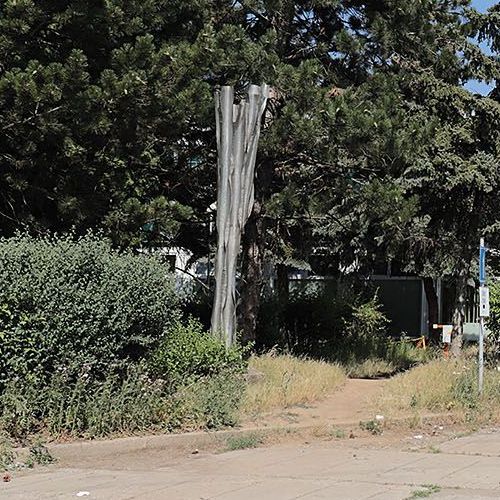 Ondřej Surový, 07/2019