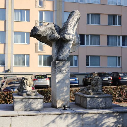 Ondřej Surový, 11/2018