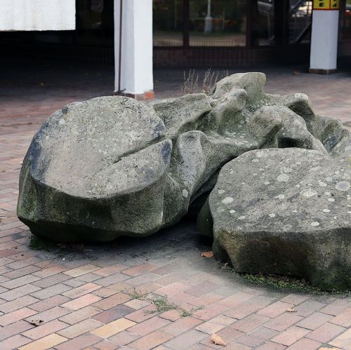 Ondřej Surový, 10/2020