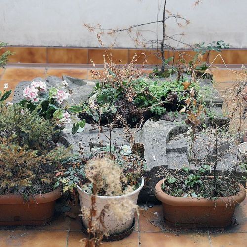 Ondřej Surový, 11/2018