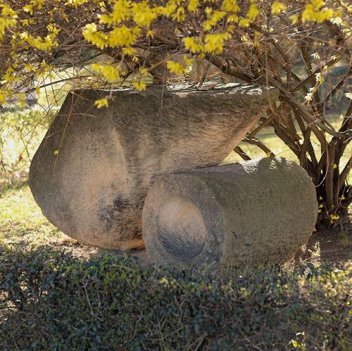 Ondřej Surový, 03/2019