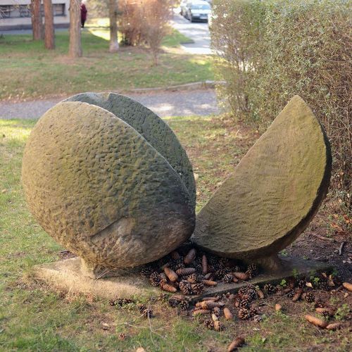 Ondřej Surový, 03/2019