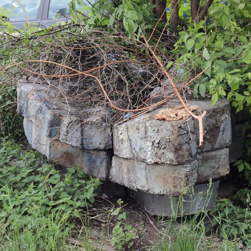 Ondřej Surový, 05/2020