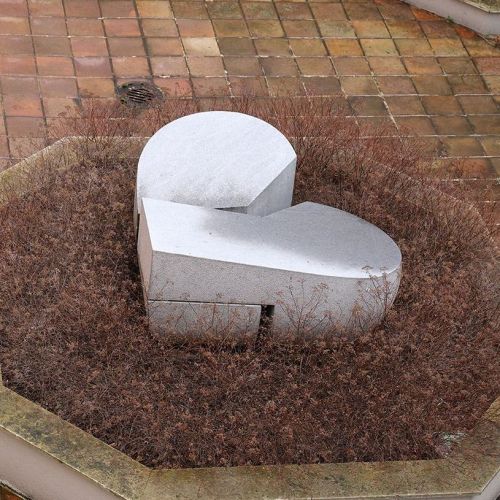 Ondřej Surový, 03/2019